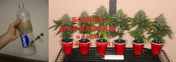 spice Ельня