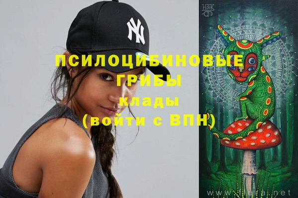 МДПВ Елабуга