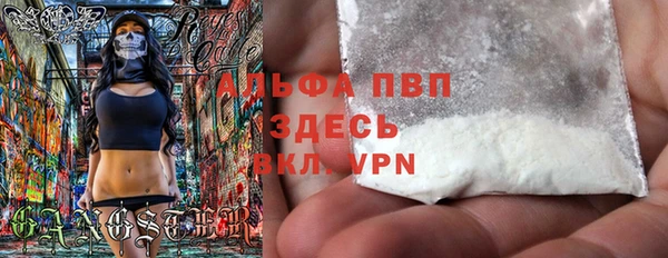 дмт Пестово