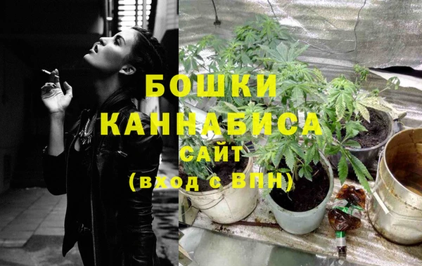 дмт Пестово