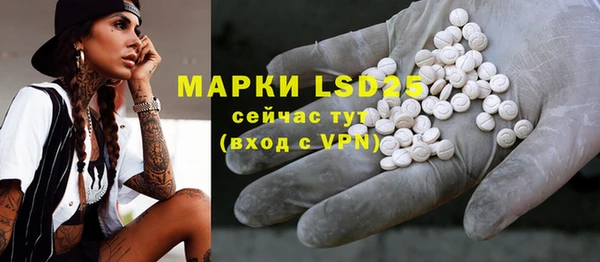 МДПВ Елабуга