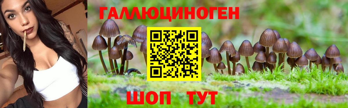 Псилоцибиновые грибы Magic Shrooms  Вход с VPN  Сердобск 